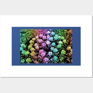 Rainbow Pastel Tulips Posters and Art